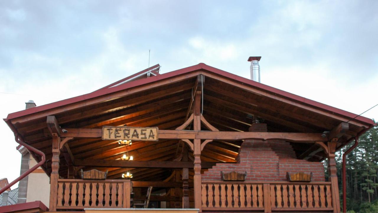 Hotel Corina Borşa Esterno foto